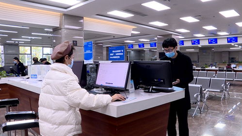 云阳探索'一张网'信用全程监管模式，助力信息咨询业规范发展