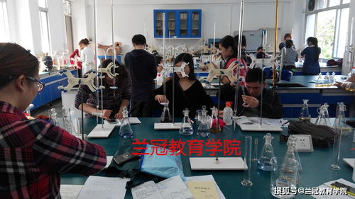 福建食品检验技术培训与考证全攻略 报名渠道与流程详解